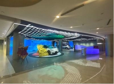 只有在大商场才能买新能源汽车 苏雨农的长镜头